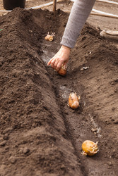 Similar image 22135408