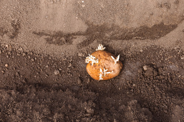 Similar image 22135910