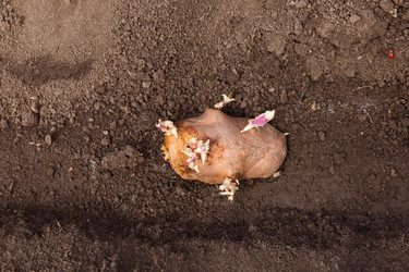 Similar image 22135911