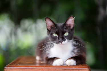 Similar image 22139082