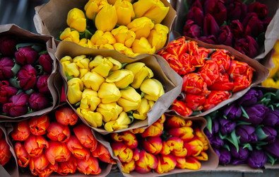 Similar image 22139085