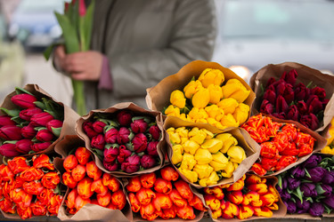 Similar image 22139086