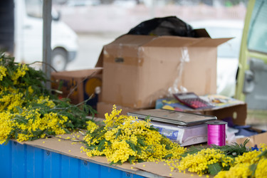 Similar image 22139087