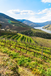 Similar image 22164967