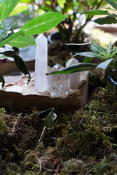 Similar image 22164975