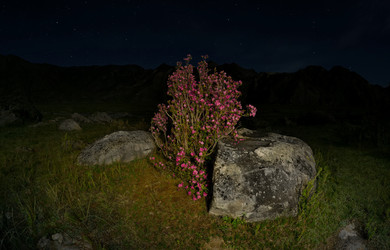 Similar image 22137610