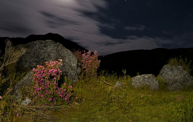 Similar image 22137611