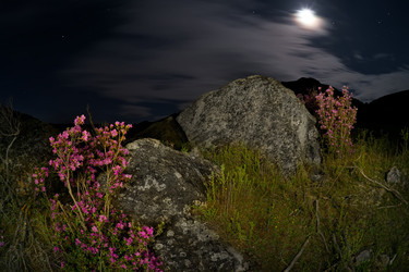 Similar image 22137612