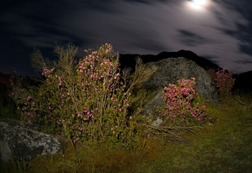 Similar image 22137613