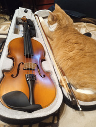 Similar image 22137617