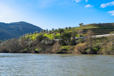 Similar image 22164991