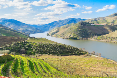 Similar image 22164995