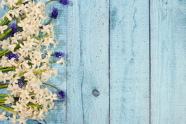 Similar image 22137623