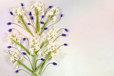 Similar image 22137624