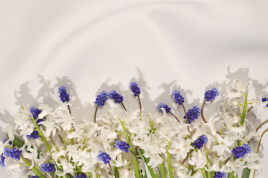 Similar image 22137625