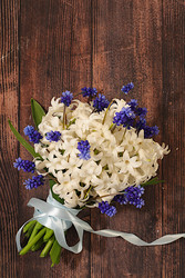 Similar image 22137629