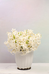 Similar image 22137633