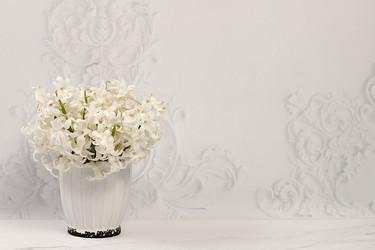 Similar image 22137635