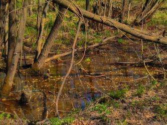 Similar image 22139158