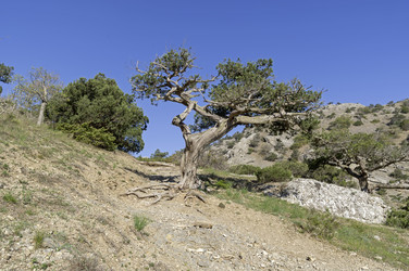 Similar image 22137644