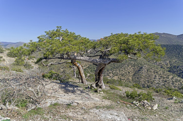 Similar image 22137645