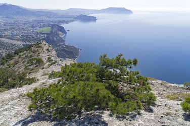 Similar image 22137647