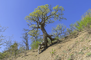 Similar image 22137648