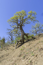 Similar image 22137649