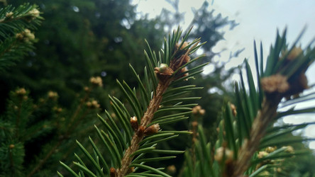 Similar image 22137650