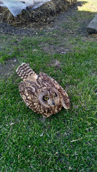 Similar image 22137654