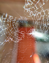 Similar image 22138831