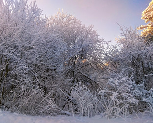 Similar image 22138832