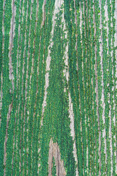 Similar image 22138051