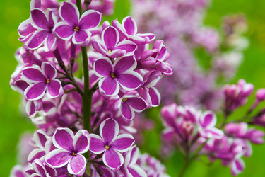 Similar image 22138054