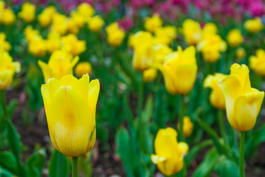 Similar image 22138056