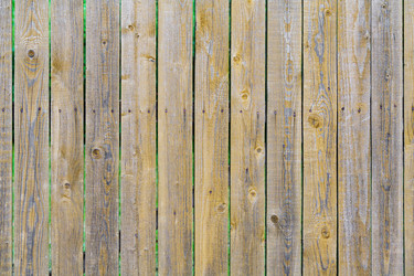 Similar image 22138069