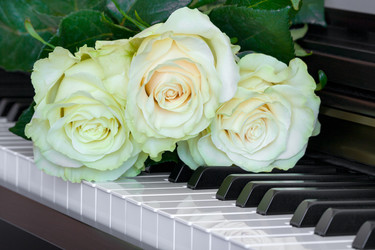 Similar image 22138084