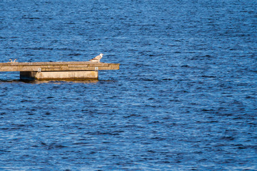 Similar image 22138086