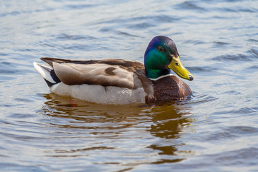 Similar image 22138094