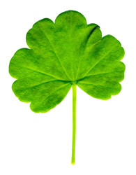 Similar image 22138119