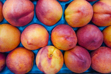 Similar image 22138130