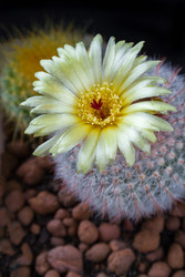 Similar image 22154462