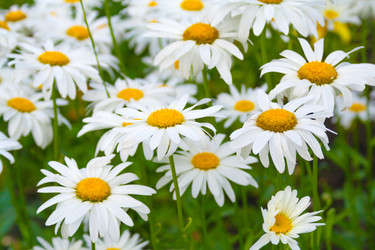 Similar image 22154468