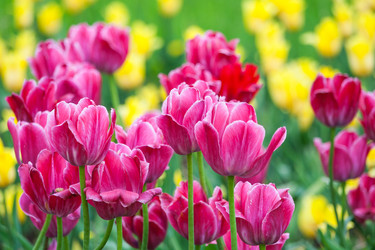 Similar image 22154475