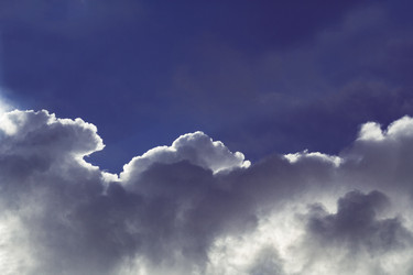 Similar image 22154484