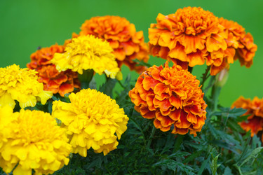 Similar image 22154487