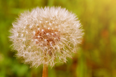 Similar image 22154489