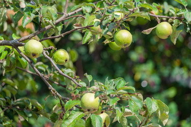 Similar image 22154495