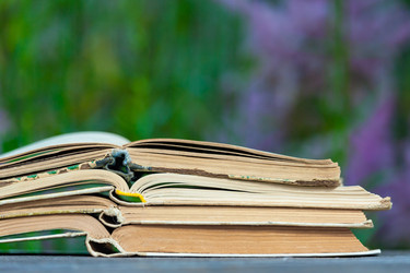 Similar image 22154505