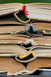 Similar image 22154508